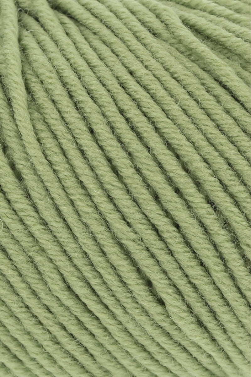MERINO 120 (1/2)