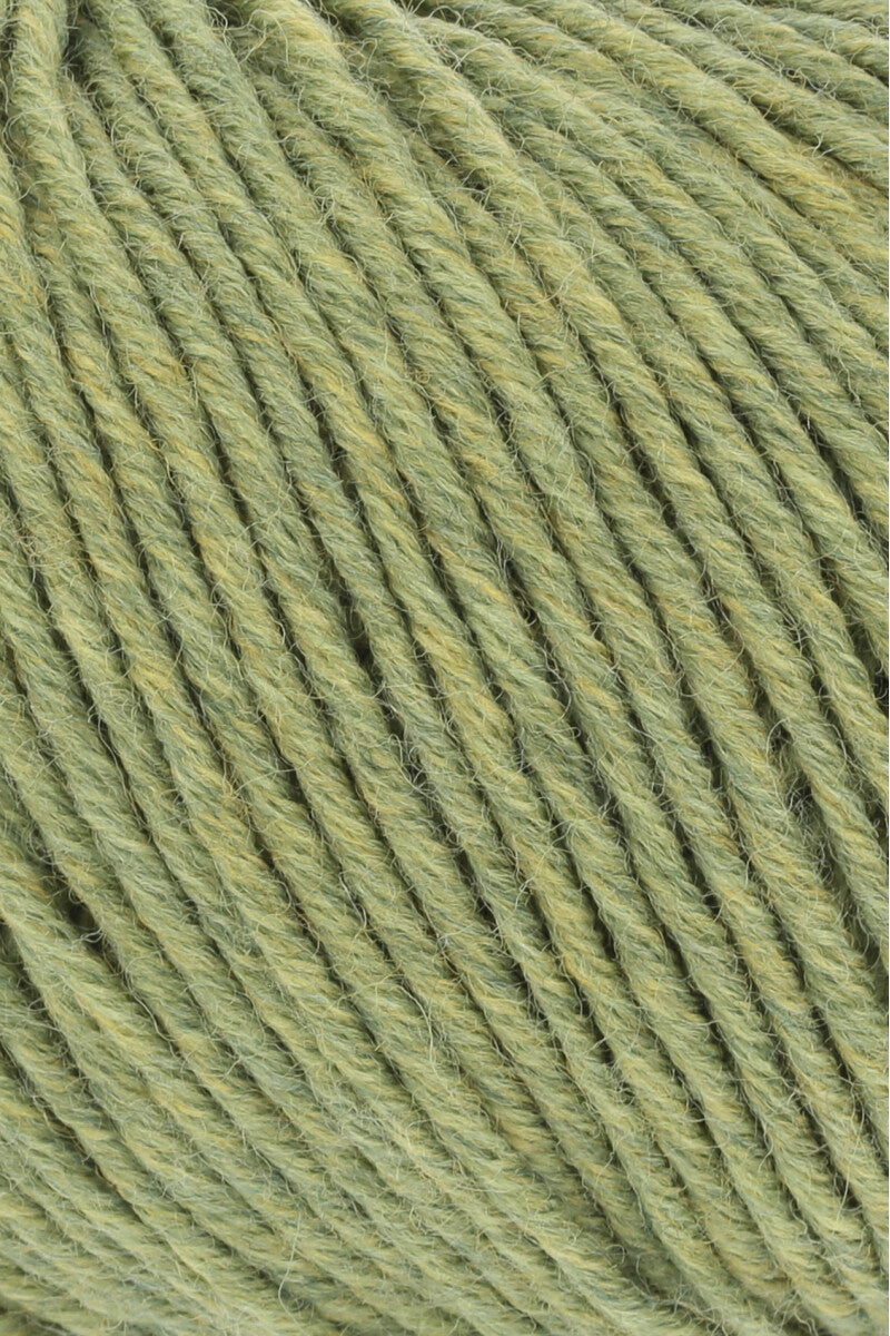 MERINO 120 (2/2)