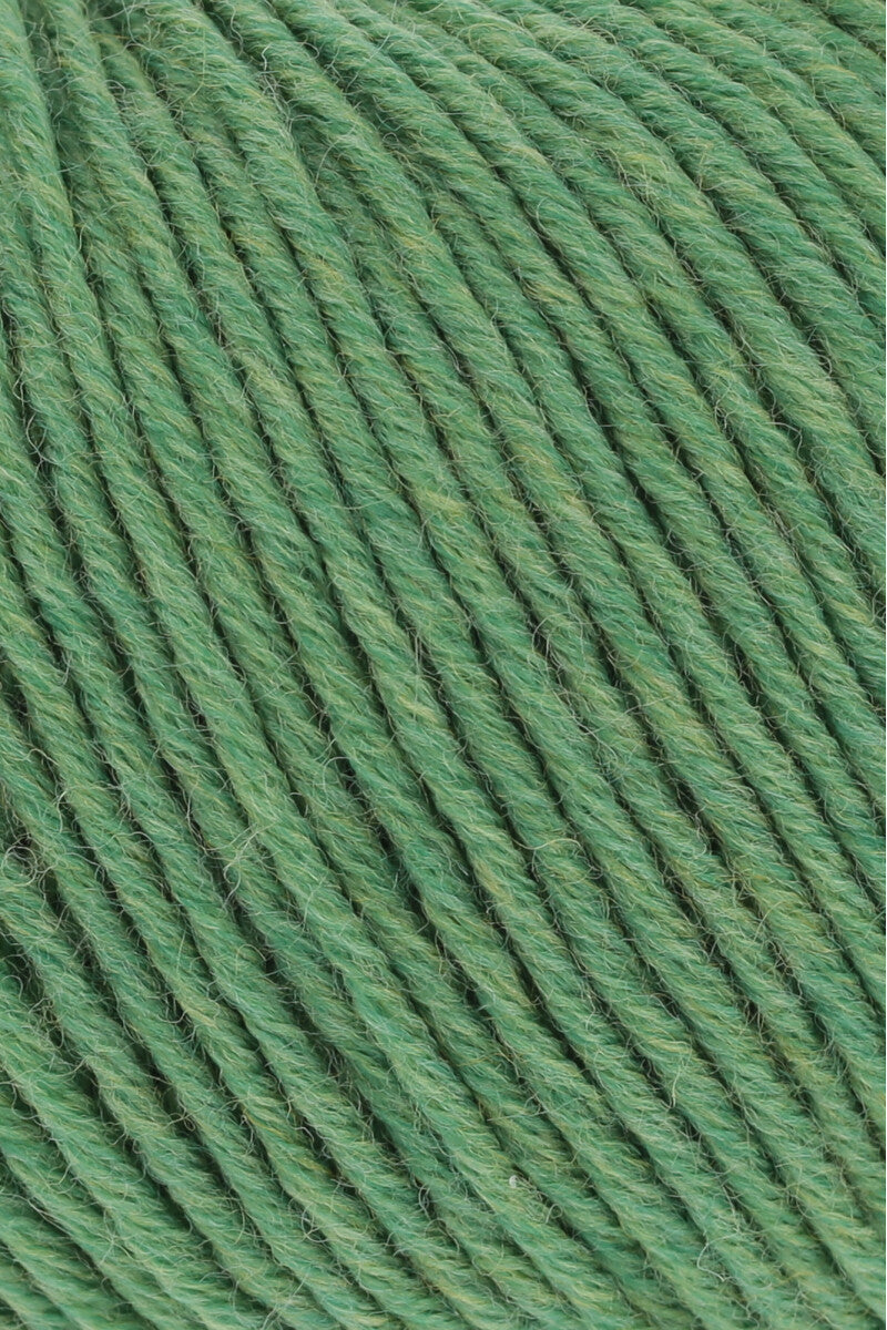 MERINO 120 (2/2)
