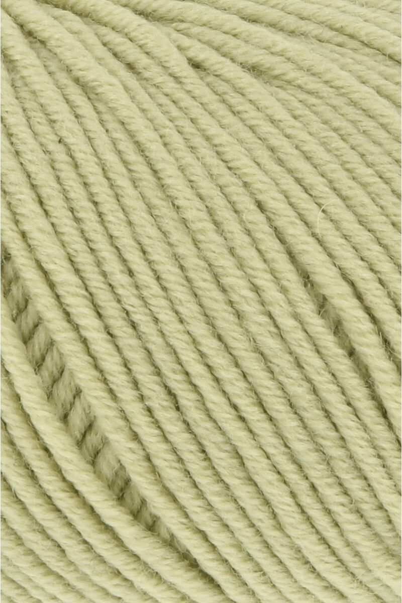 MERINO 120 (1/2)