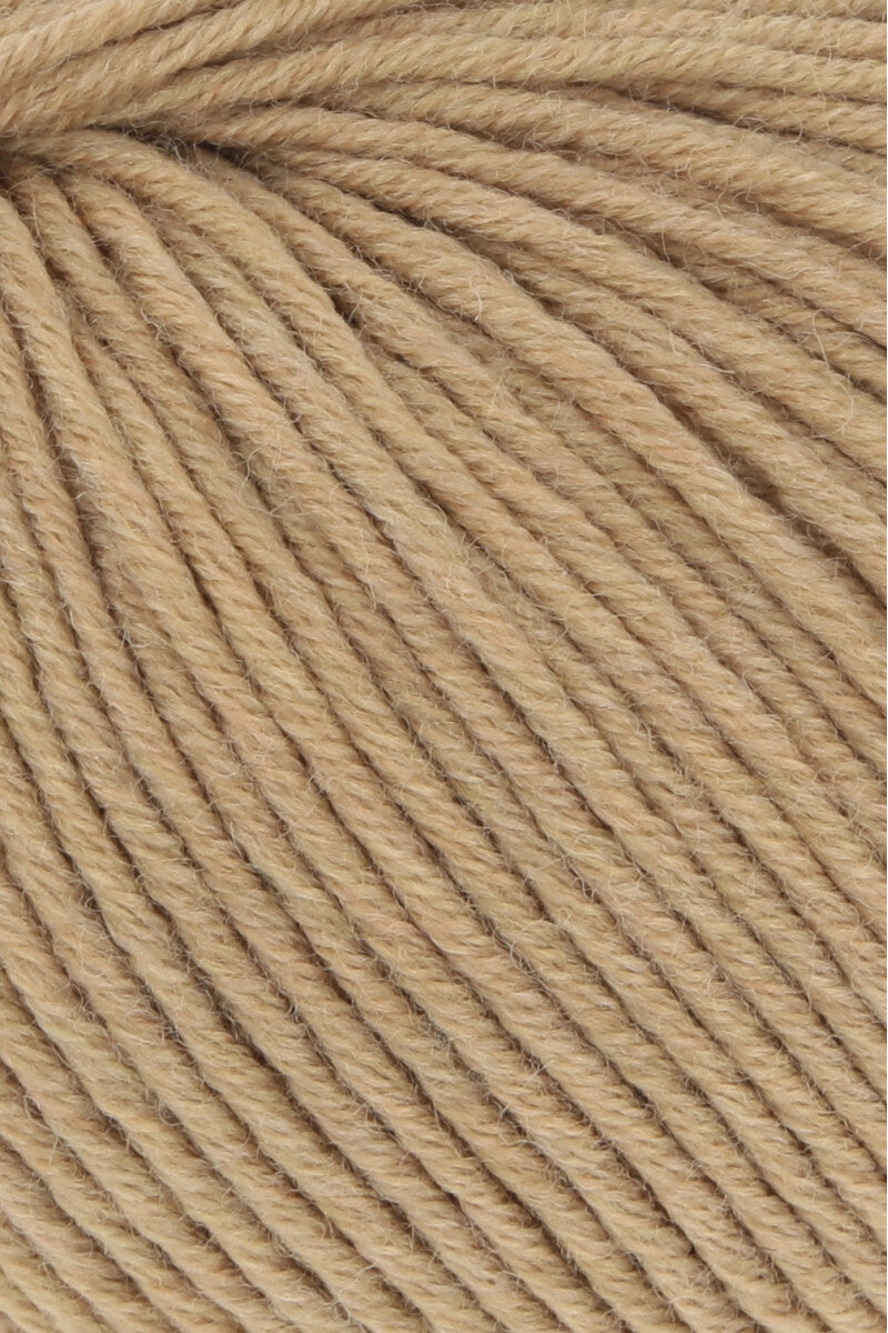 MERINO 120 (2/2)