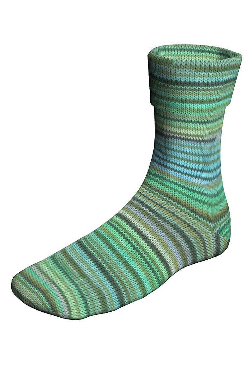 SUPER SOXX COLOR 4-FACH