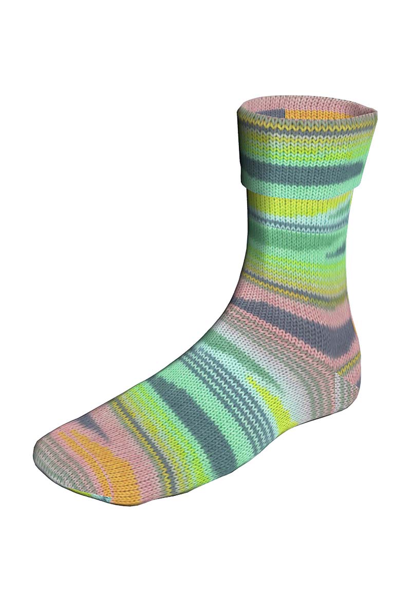 SUPER SOXX COLOR 4-FACH