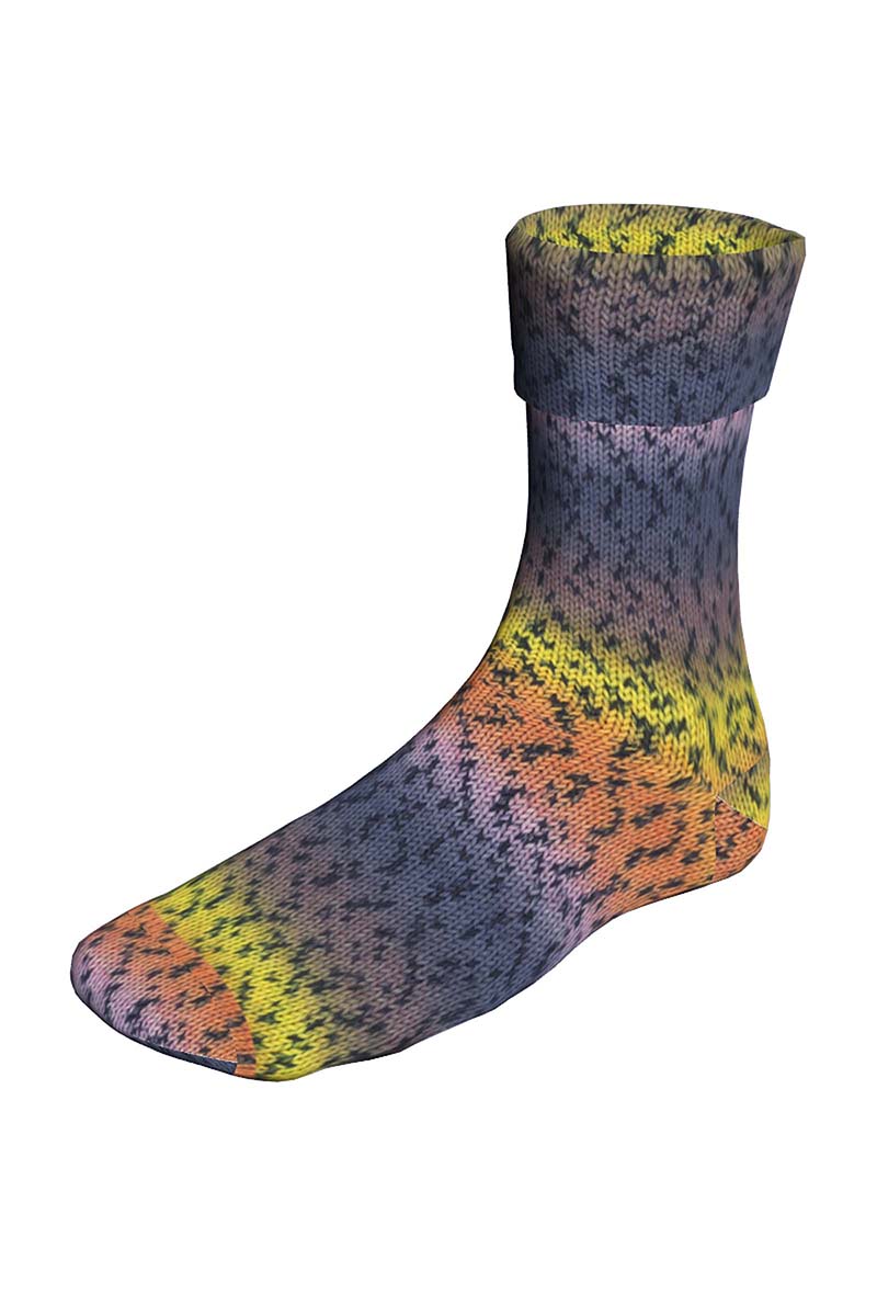 SUPER SOXX COLOR 4-FACH