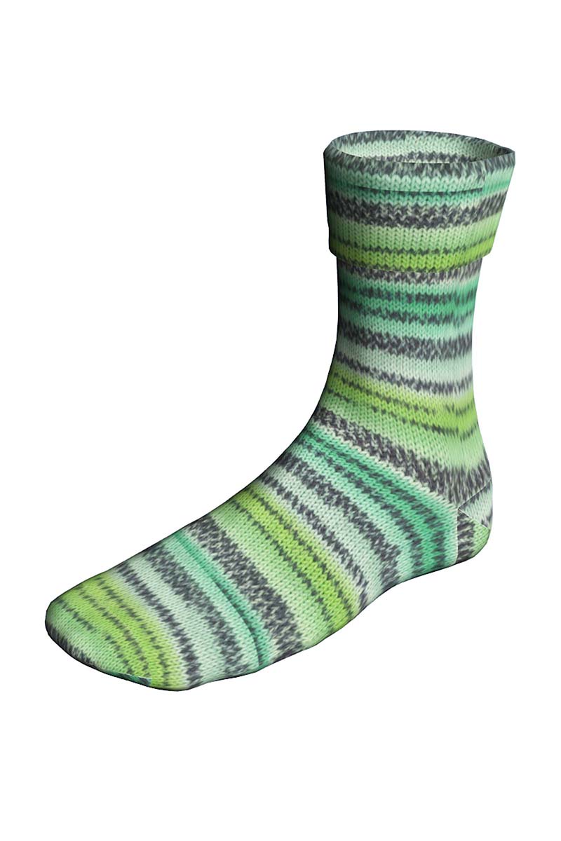 SUPER SOXX COLOR 4-FACH