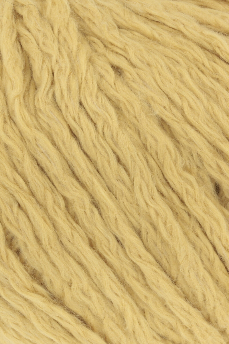 AMIRA