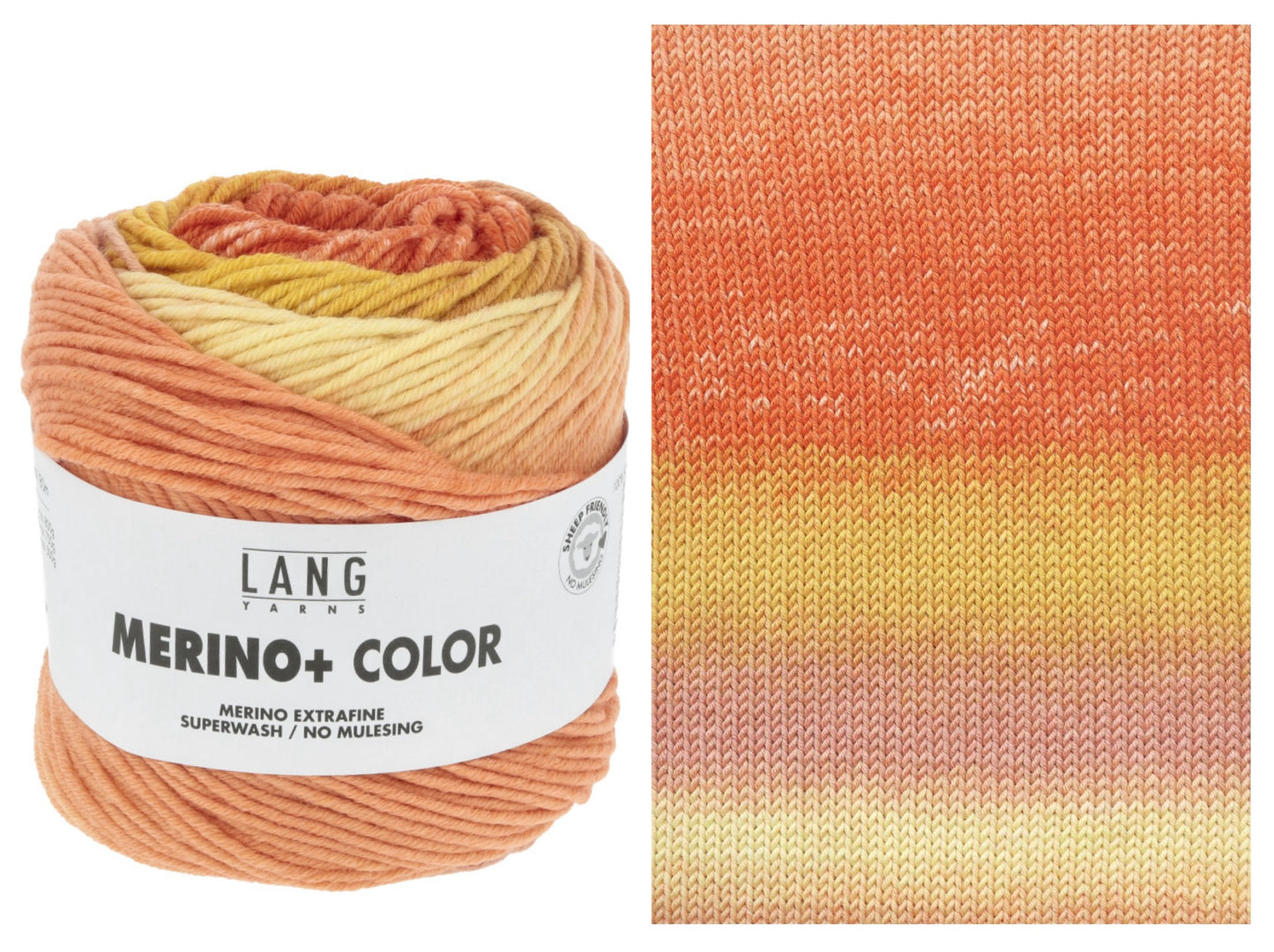 MERINO+ COLOR